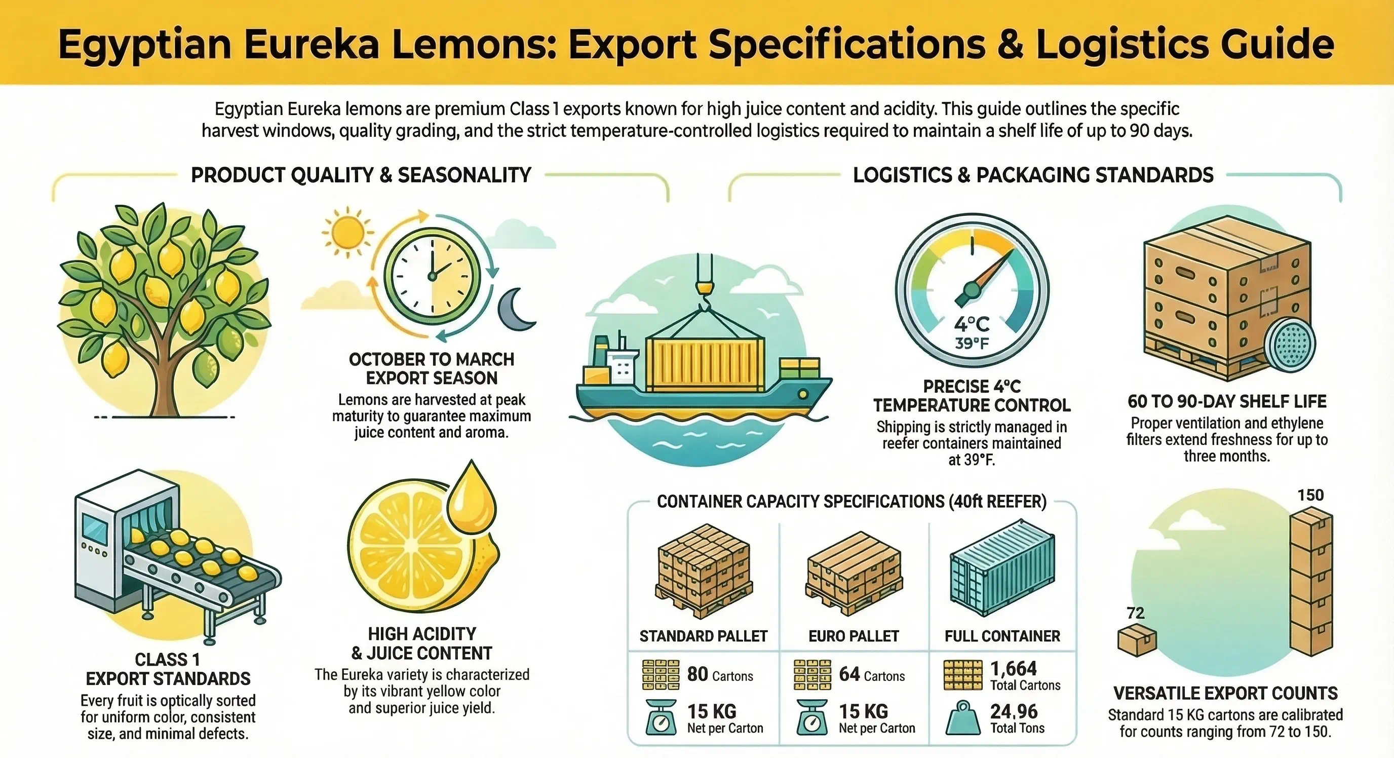 Egyptian Valencia Oranges