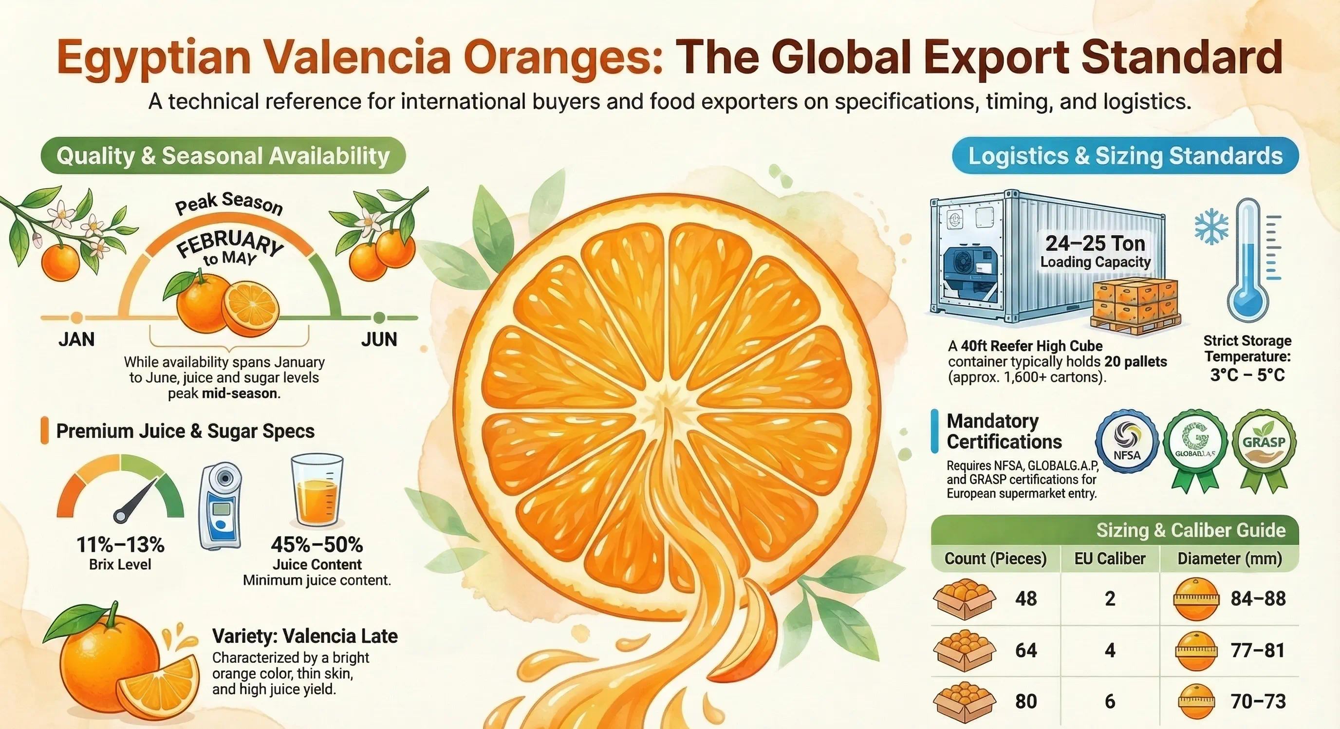 Egyptian Valencia Oranges